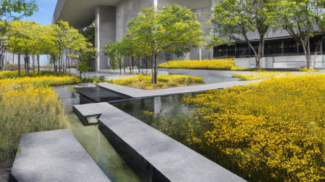 design-landscape-for-a-residential-compound-building-tadao-ando-including-flowers-trees-water-fea- (4)